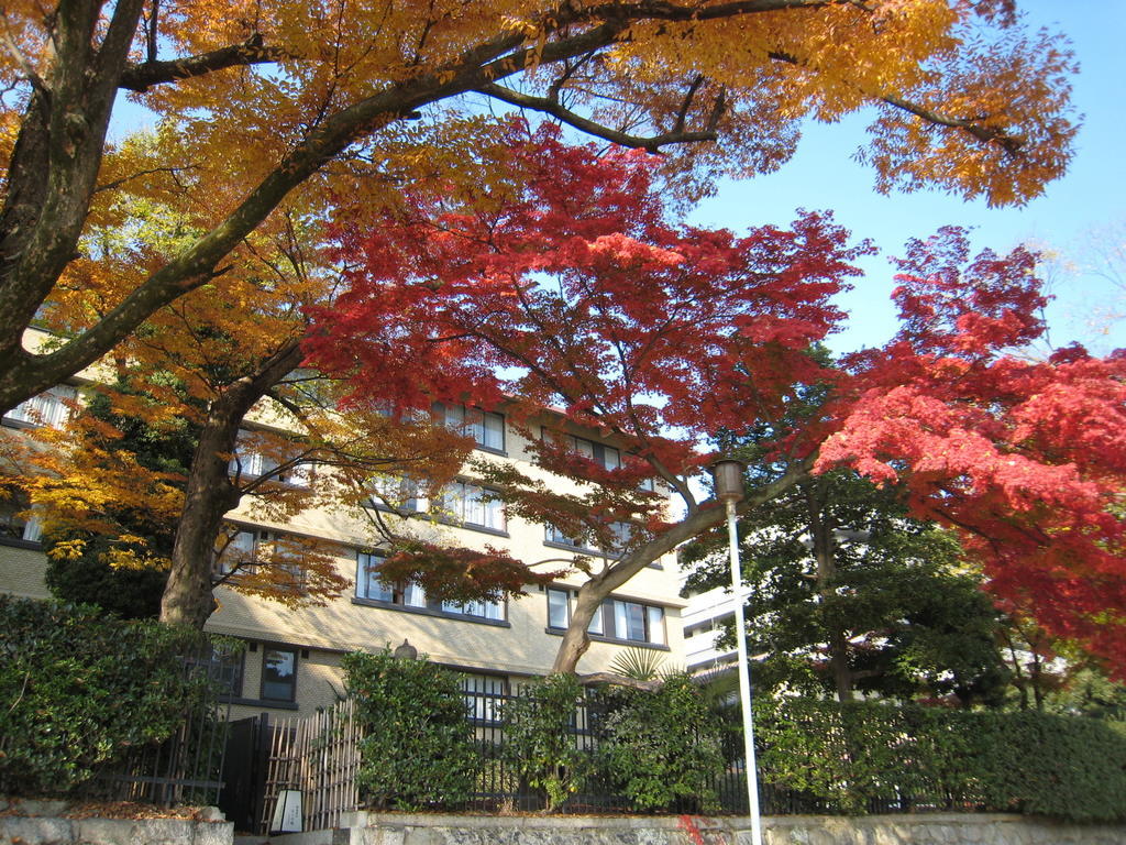 Kkr Kyoto Kuniso Hotel Ngoại thất bức ảnh